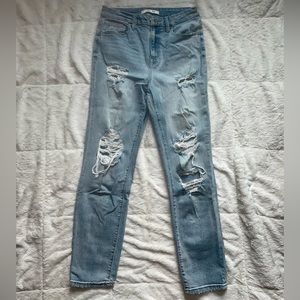 Willow & Root Mom Fit Destructive Jeans